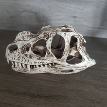 Load image into Gallery viewer, ARSTRIA Tyrannosaurus Rex Head Dinosaur Skull Resin T-rex Skull Statue Table Decor Gift for Birthday