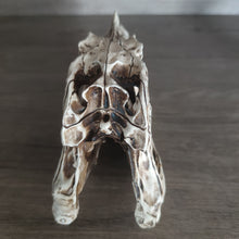 Load image into Gallery viewer, ARSTRIA Tyrannosaurus Rex Head Dinosaur Skull Resin T-rex Skull Statue Table Decor Gift for Birthday