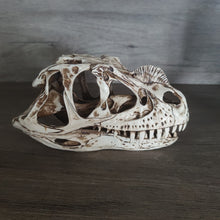 Load image into Gallery viewer, ARSTRIA Tyrannosaurus Rex Head Dinosaur Skull Resin T-rex Skull Statue Table Decor Gift for Birthday