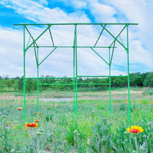 Load image into Gallery viewer, 79'' L x 59'' W x 79'' H Grape Vine Support Arch Arbor Arbour Gazebo Trellis Rack Pergola Plastic-Coated Metal Cane Frame for Vineyard Outdoor Patio Lawn Yard Garden Decoration Green