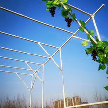 Load image into Gallery viewer, 118'' L x 79'' W x 90.5'' H Large Grape Vine Support Arch Arbor Gazebo Trellis Rack Pergola Plastic-Coated Metal Large Cane Frame for Vineyard Outdoor Patio Lawn Yard Garden Decoration White