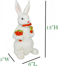 Load image into Gallery viewer, 13" H Resin Bunny Statue Easter Bunny Sculpture Fluffy Rabbit Holding Carrots Statues Indoor Accessories Outdoor Decor Animal Ornament for Table Shelf Home Garden Lawn Yard Balcony