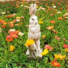Load image into Gallery viewer, Large Size Noble Sitting Rabbit Bunny Realistic Rabbit Happy Easter Bunny Magnesium Oxide Stone Sculpture Decorations for Indoor Outdoor Garden Statue 30'' High