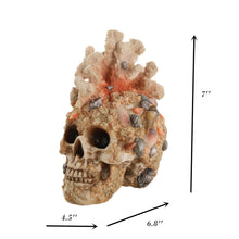 Load image into Gallery viewer, ZOEJADE  Terrarium Skull Figurine Overgrown with Coral Reptile House Cave Decorative Skeleton Statue