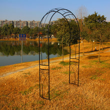 Load image into Gallery viewer, OUTOUR Stereoscopic Metal Garden Arch Arbor Arbour Archway with Graceful Curve for Climbing Plants Outdoor Garden Lawn Backyard Patio Wedding Black