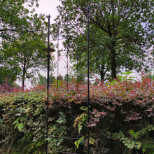 Load image into Gallery viewer, OUTOUR Larger Garden Trellis Plant Support Wire Lattice Grid Panel Stake Fence, 72"x20", for Climbing Plants Vegetables Clematis Lawn Backyard, Black