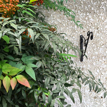Load image into Gallery viewer, OUTOUR Heavy Duty Hanging Plant Bracket 12" Wall Hook Set of 2 Hanger for Planters,Lanterns,Wind Chimes,Flower Pot Baskets,Decorative Plants,Wind Spinners,Bird Feeders,Garden Patio Lawn Indoor Outdoor Decor