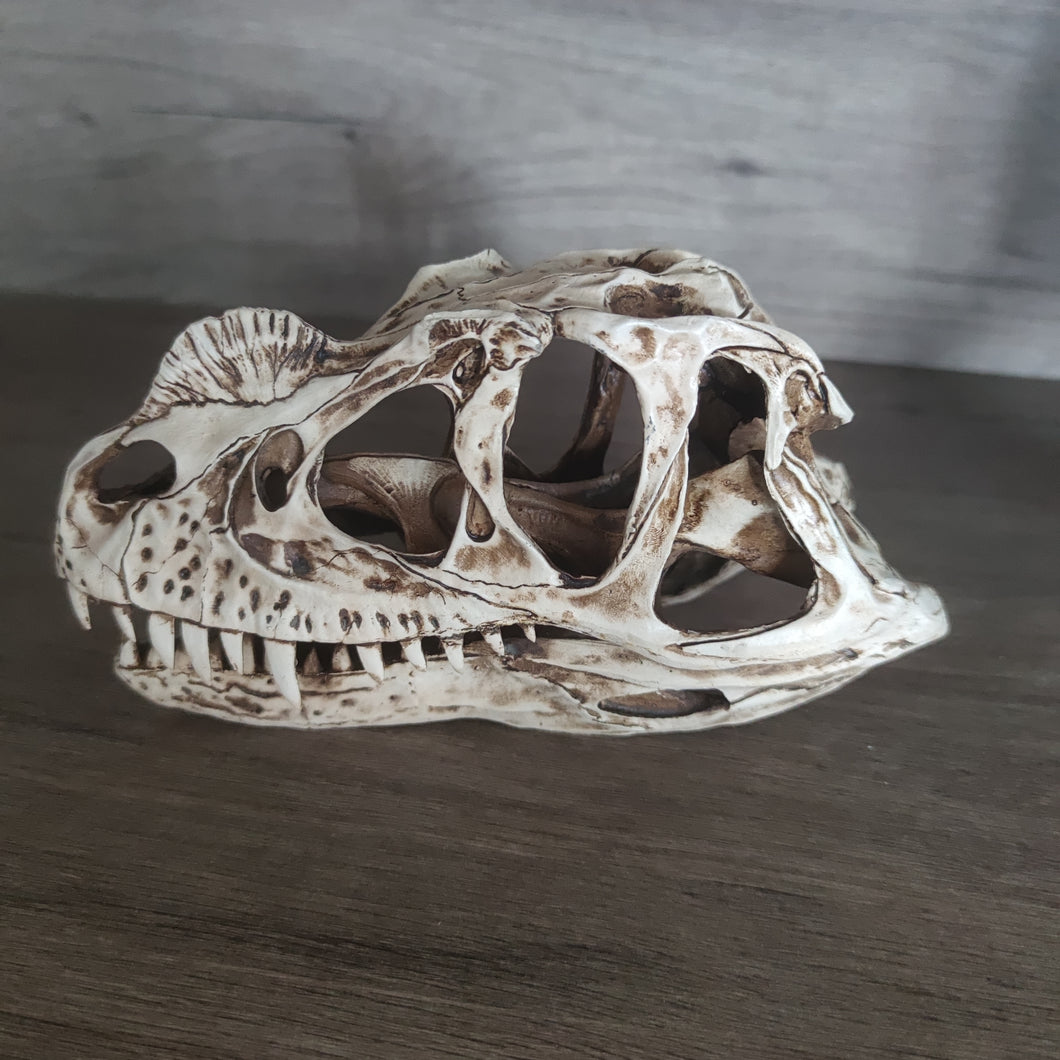 ARSTRIA Tyrannosaurus Rex Head Dinosaur Skull Resin T-rex Skull Statue Table Decor Gift for Birthday