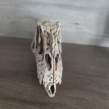 Load image into Gallery viewer, ARSTRIA Tyrannosaurus Rex Head Dinosaur Skull Resin T-rex Skull Statue Table Decor Gift for Birthday
