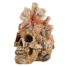 Load image into Gallery viewer, ZOEJADE  Terrarium Skull Figurine Overgrown with Coral Reptile House Cave Decorative Skeleton Statue
