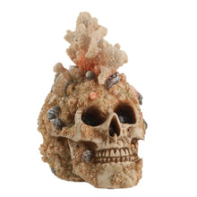 Load image into Gallery viewer, ZOEJADE  Terrarium Skull Figurine Overgrown with Coral Reptile House Cave Decorative Skeleton Statue
