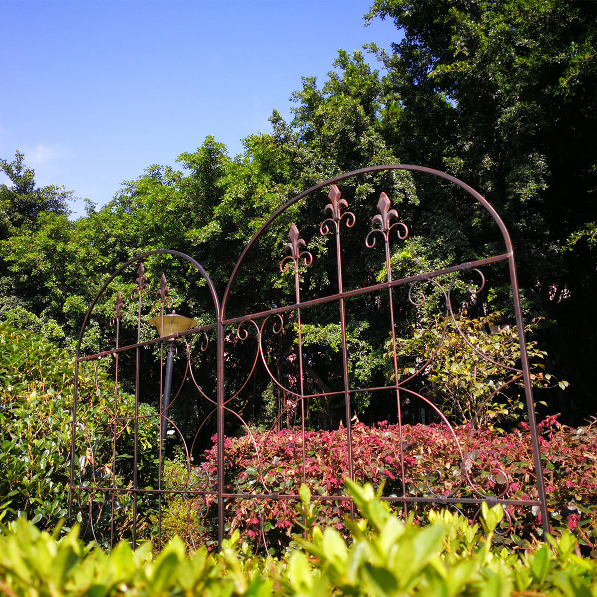 Wire Trellis Ideas for the Garden – Mother Earth News
